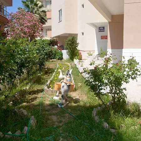 Ahmeda Aparthotel Ayvalı