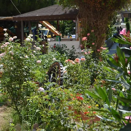 Ahmeda Aparthotel 3*